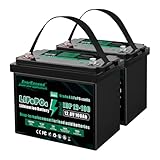 EverExceed 12V 100AH LiFePO4 Battery wit...