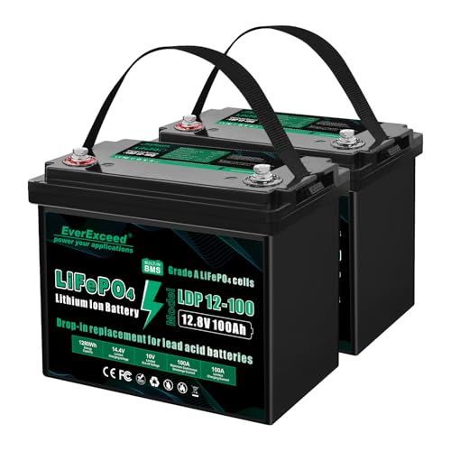 EverExceed 12V 100AH LiFePO4 Battery with Built-in 100A BMS,...