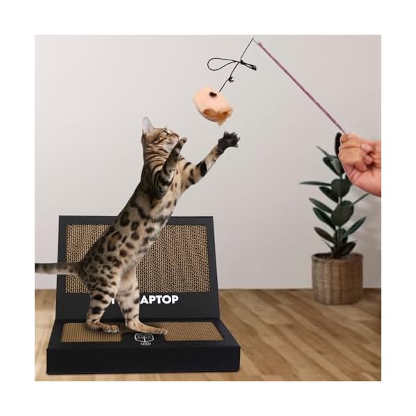 Kitty Laptop - Spielzeug für Katzen mit interaktiver Plüschmaus mit Katzenminze - Katzen-Computerspielzeug gegen Langeweile mit 50 Aufklebern – Bild 9