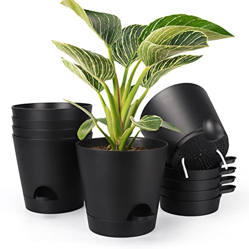 PETAFLOP Plastic Plant Pots 20cm Indoor, 6 Pack 8 Inch Self Watering Plant Pot with Drainage Hole, Saucers, Absorbent Rope and Watering Lip for House Plants, Black