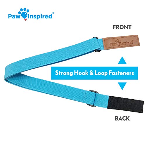 Image of PAW Inspired Dog Diaper Suspenders, Blue, Small /Medium | Small /Medium, Stretchy Adjustable Straps, Velcro Closures, For Female and Male Disposable and Washable Diapers