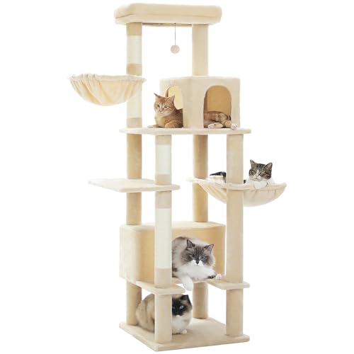 PAWZ Road Lbg^[  ^Lp X L^[ ^ ܌ R nbN u ȃXy[X lC  킢 Vv  ^s   ^L - x[W 170cm