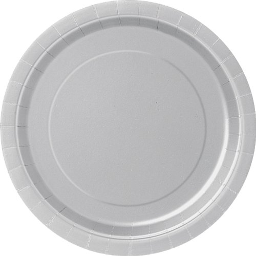 32 SILVER Paper Plates Disposable 9" Wedding Anniversary Party Picnic BBQ