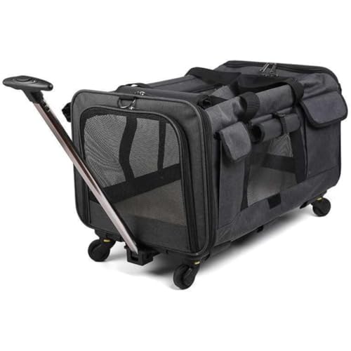 Qfmr LX^[tybgpLOobOAA{bNXA܂肽ݎAALAybgobOAʋCA|[^uAԓ܂肽ݎAOŉƂɋA鏬^ђ^̌ƔLɓKĂ܂ gL[Rei L[J[g Ŏgp\ [ې É