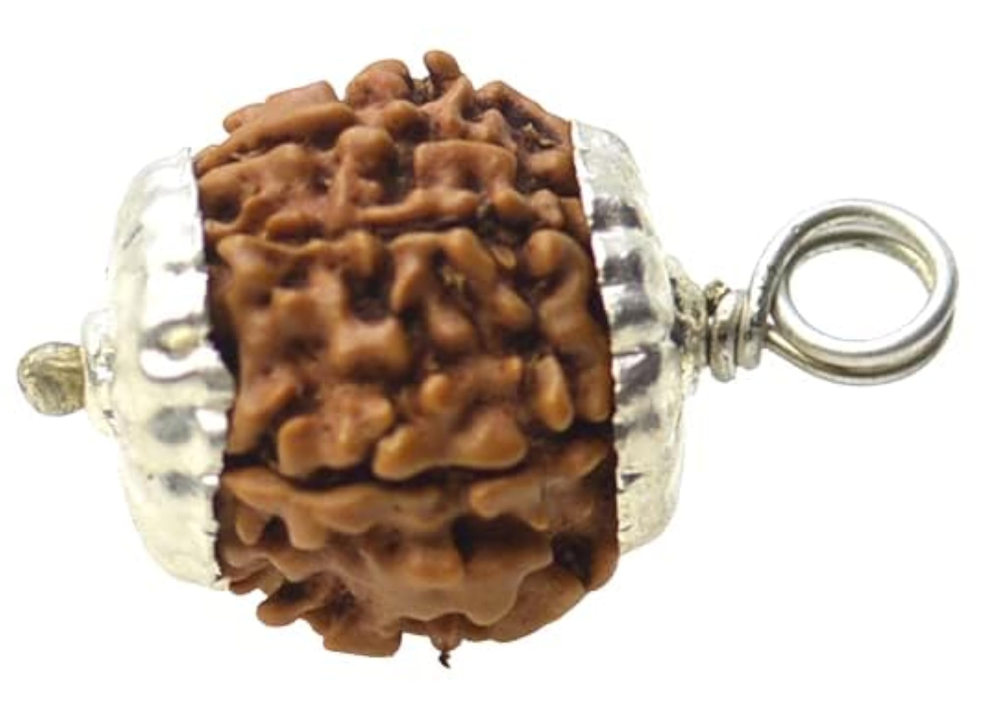 7 Mukhi Nepali Rudraksha Bead, Original Certified, AAA++ Quality