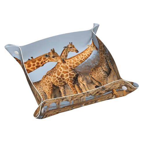 L[fBbV L L[fBXN WG[gC g[ OgC [P[X PuU[  ֗ y lC [ 킢 ܂肽 K  u G