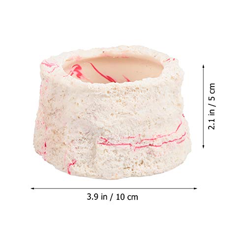 POPETPOP 2Pcs Alimentadores Terraium Réptil Bacias de Alimentação Réptil Placas de Resina de Aliment