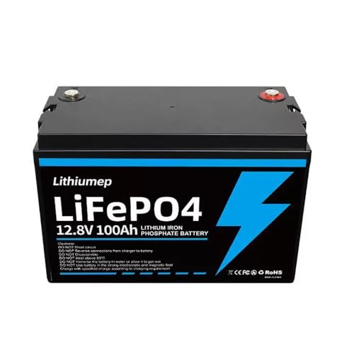 Bateria de Lítio LiFePO4 12.8V 100Ah e Carregador