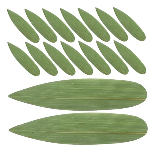 SMASOLO 100 |t ihgpat VRou[f Hi  ē aHtpv[g