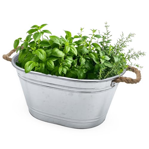 Zinkwanne Blumenkübel oval mit Griffen aus Naturkordel - 43 x 30 cm - Metallwanne Pflanztopf klein silber verzinkt - Garten Deko Wanne Blumentopf Blumenschale Pflanzkübel Pflanzschale Zinkbottich