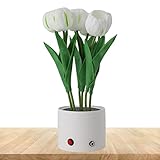 【Multi-usages】Convient pour la décoration intérieure, fête d'Halloween, table, armoire, cheminée, chambre, fenêtre, salon, bureau, salle à manger, hall, bar, jardin, mariage, etc.