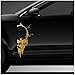 Finest Folia Skull Totenkopf Aufkleber Sticker Dekor Folie Autoaufkleber Tattoo für Auto LKW Wohnwagen K079 (Gold, 28x13 cm)
