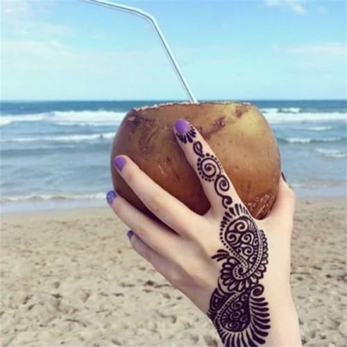 Jjlfresheners Henna Tattoo Kit Stencils,Temporary Reusable Unisex Tattoo Sets thumb #2