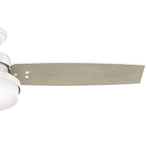 Hunter Sentinel Indoor Ceiling Fan With Led Light And Remote Control, 52", White #TOP3