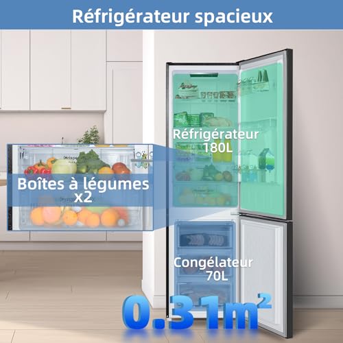 CHIQ CBM250NEBD Vrijstaande koelkast met vriesvak | Koelvriescombinatie Low Frost | 12 jaar garantie op de compressor* | zwart - Image 6