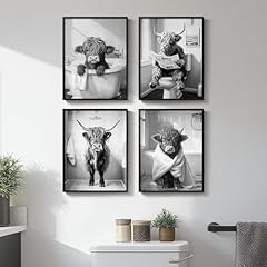 Funny - Black Highland Cow