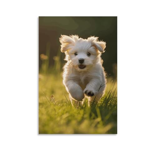 Toile murale chiot dans l'herbe sans cadre 60x90 cm poster esthétique