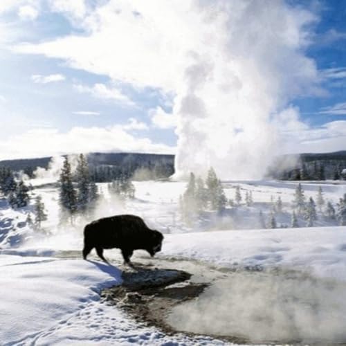 Audioblog. Old Faithful y el apacible invierno