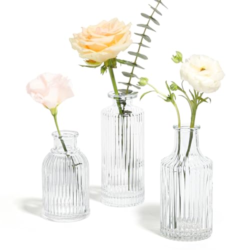 ComSaf Juego de 3 jarrones de cristal, pequeños jarrones acanalados a granel, mini jarrones de flores para centros de mesa,...