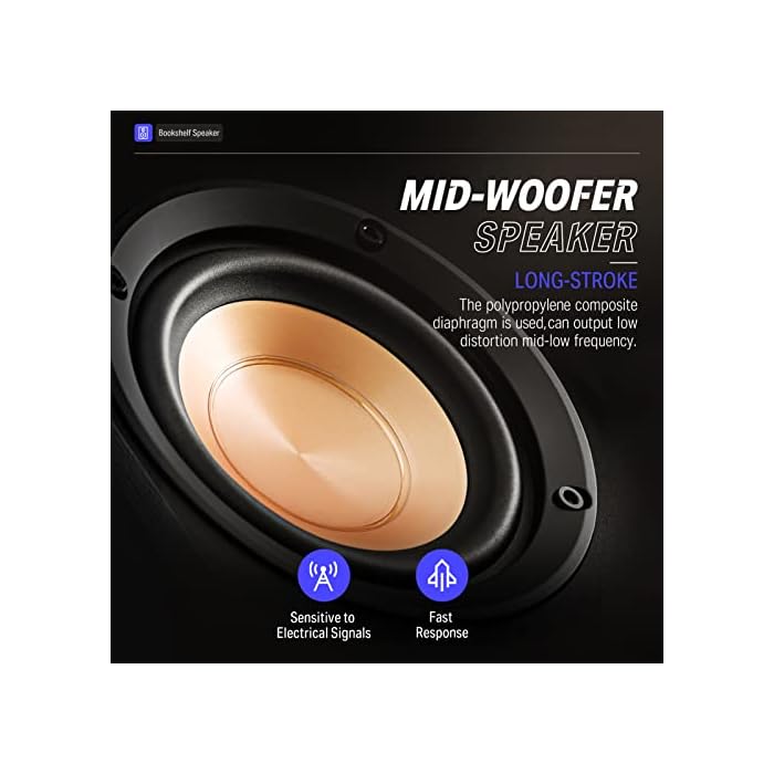 Donner Passive Bookshelf Speakers Pair EWESBAY