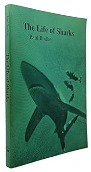 Paperback The Life of Sharks Book