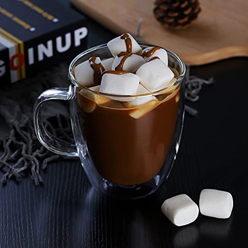 CNGLASS 17oz Double Wall Mugs Set