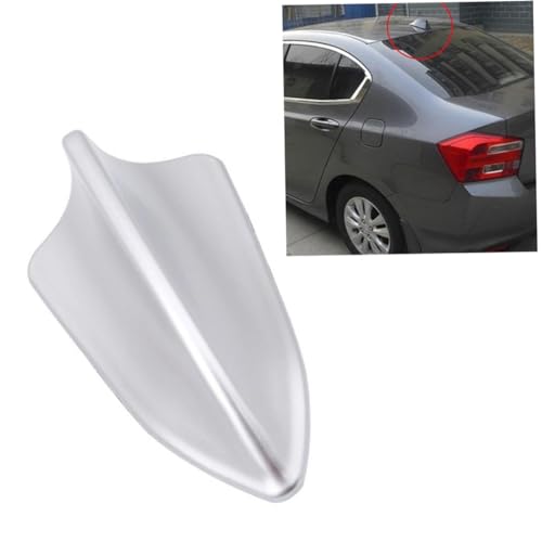 DOITOOL Antenne Universelle pour Coque De Voiture Signal Argenté Installation