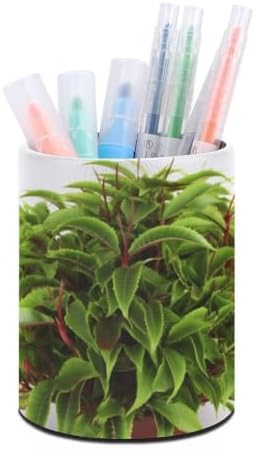 Plant Round Pen Holder Desk Organizer for Office Home image 5