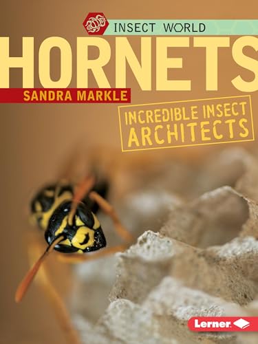 Hornets: Incredible Insect Architects (Insect World)