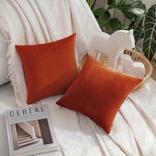 Image of MIULEE Velvet Throw Pillow Covers 12x12 Inch, Pack of 2 - Burnt Orange, Soft Solid Small Decorative Pillow Covers Modern Luxury Home Decor for Couch Chair Sofa Bedroom Livingroom Car