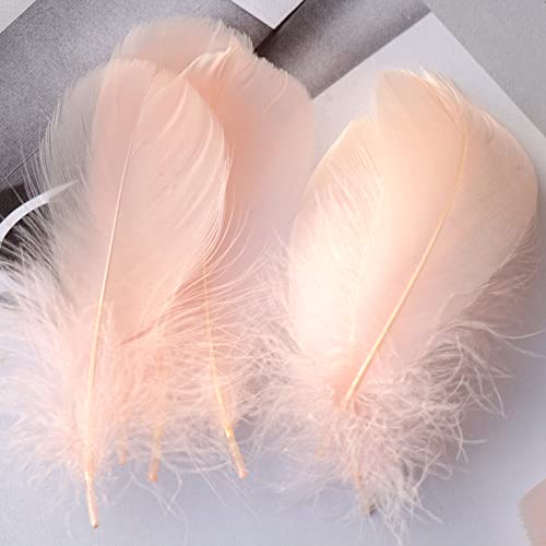 100 Pieces Meat Pink Natural Goose Craft Feathers Bulk, Colorful Small Goose Feathers for Holloween Costumes Thanksgiving Crafts Projects Decor