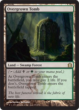 MTG 草むした墓　英語版 Amazon.co.jp: MTG 英語版 RTR-EN243 Overgrown Tomb 草むした墓 (土地
