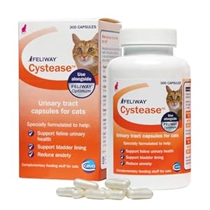 Feliway Cystease 300 Capsule Pack, 300 Feliway Cystease Capsules For Cats Urinary Tract Infection Treatment, Cat Supplements To Help Stress Related Bladder Issues And Reduce Cat Anxiety In Your Pet