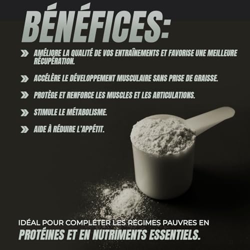 Healthy Fusion Whey Protein | 43 g/dose Protéine Whey Pure avec Collagène, Magnésium et Vitamine B6 | Augmente la masse musculaire, améliore l’entraînement et renforce les articulations | 1000 g – Image 4