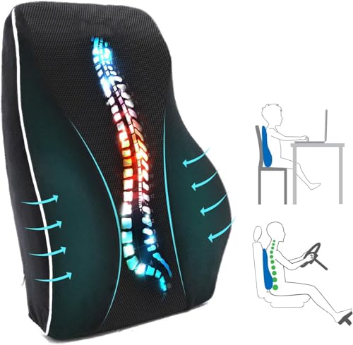 Zoliva Lumbar Support Pillow for Office Chair Car, Gaming Chair