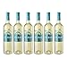 Pata Negra Sauvignon Blanc Vino Blanco D.O Rueda - Caja de 6...