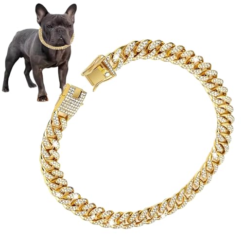 Collare a catena per cani in oro, Collare per cani a catena in oro,Collare per cani in oro con catena per cani in - Collana per cani con collare in metallo con fibbia per feste di animali