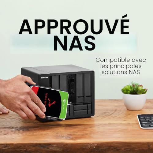 Seagate NAS HDD 6To IronWolf Disque dur mécanique