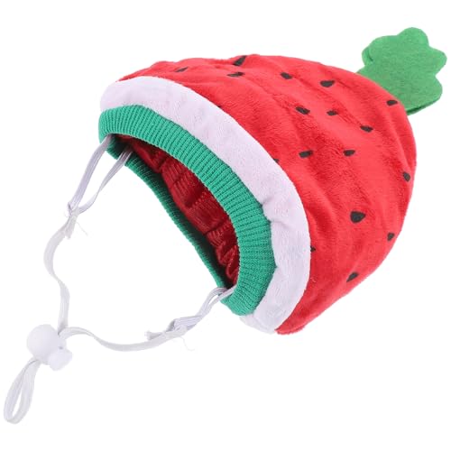 Angoily ybgRXvwbhMA ZXq Lpp[eB[ ^Xq ŌyʂŌgѕ֗ aNX}X 