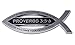 Christian Fish Chrome Emblem (Proverbs 3:5-6 Verse)