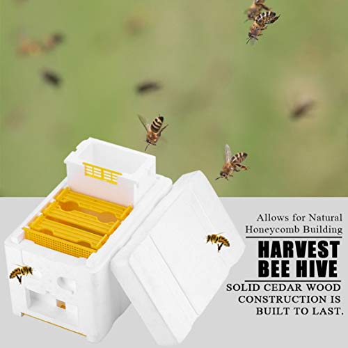 Beekeeping Tools Foam Beehives Bee Tail Boxes Bee Breeding Boxes Pollination Box Sets/White & Yellow