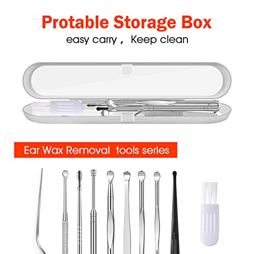 Ear Pick Ear Wax Removal Kit, Ear Cleansing Set, Earwax Remover Tool, Ear Curette Ear Wax Remover Tools With A Cleaning Brush And Storage Box, Medical Grade, For Ear Adult And Kid, Silver, 10 Pcs #TOP5