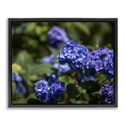 Purple Hydrangea Photography, 16 x 20 Inch Canvas in Floater Frame