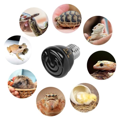 Adiwo 1 Pack 60W Ceramic Reptile Heat Bulb, E27 Base, Infrared Heating, Terrarium Heat Lamp for Reptiles/Snakes/Lizards/Turtles/Bearded Dragons
