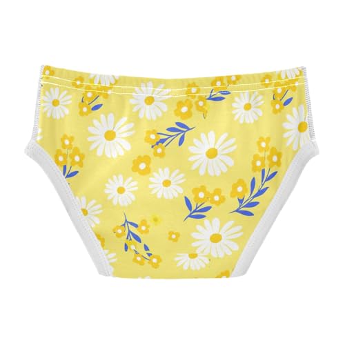 Summer Flowers Floral Yellow Toddler Boy's Underwear 2T 23022172