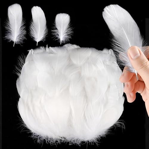 300 Stück Federn zum Basteln Natürliche Bastelfedern Federn Weiss Federn Basteln Fasanenfedern Bastelfedern Deko Indianer Feder für DIY DEK Ostern Halloween Maske Traumfänger Partydekorationen