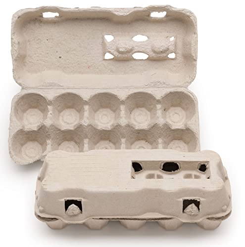 eivolution TopView 10er Eierkarton | 30 Stück | Eierschachtel mit Sichtfenster für Hühnereier in den Größen S, M & L | Grau Cover