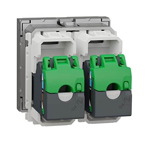 Prise RJ45 double Schneider Cat5 UTP m&eacute;canisme Ethernet Alu - 2