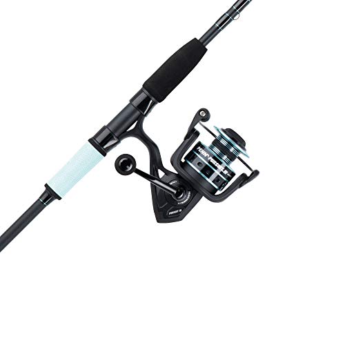 Top 10 Penn Pursuit 3 Combos Of 21 Best Reviews Guide