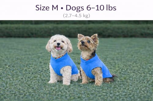 Image of JACKO & CO - Fleece Vest Dog Sweater with Leash Ring - Soft, Warm & Lightweight Pullover Coat for Small & Medium Dogs, Puppies & Cats - Cozy Fall /Winter /Spring Pet Jacket (Blue, Medium 6-10lbs)